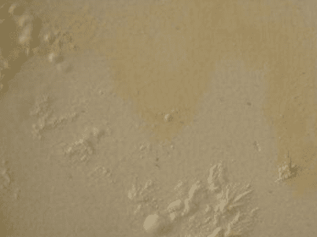 膩?zhàn)臃燮鹋萦绊懨烙^